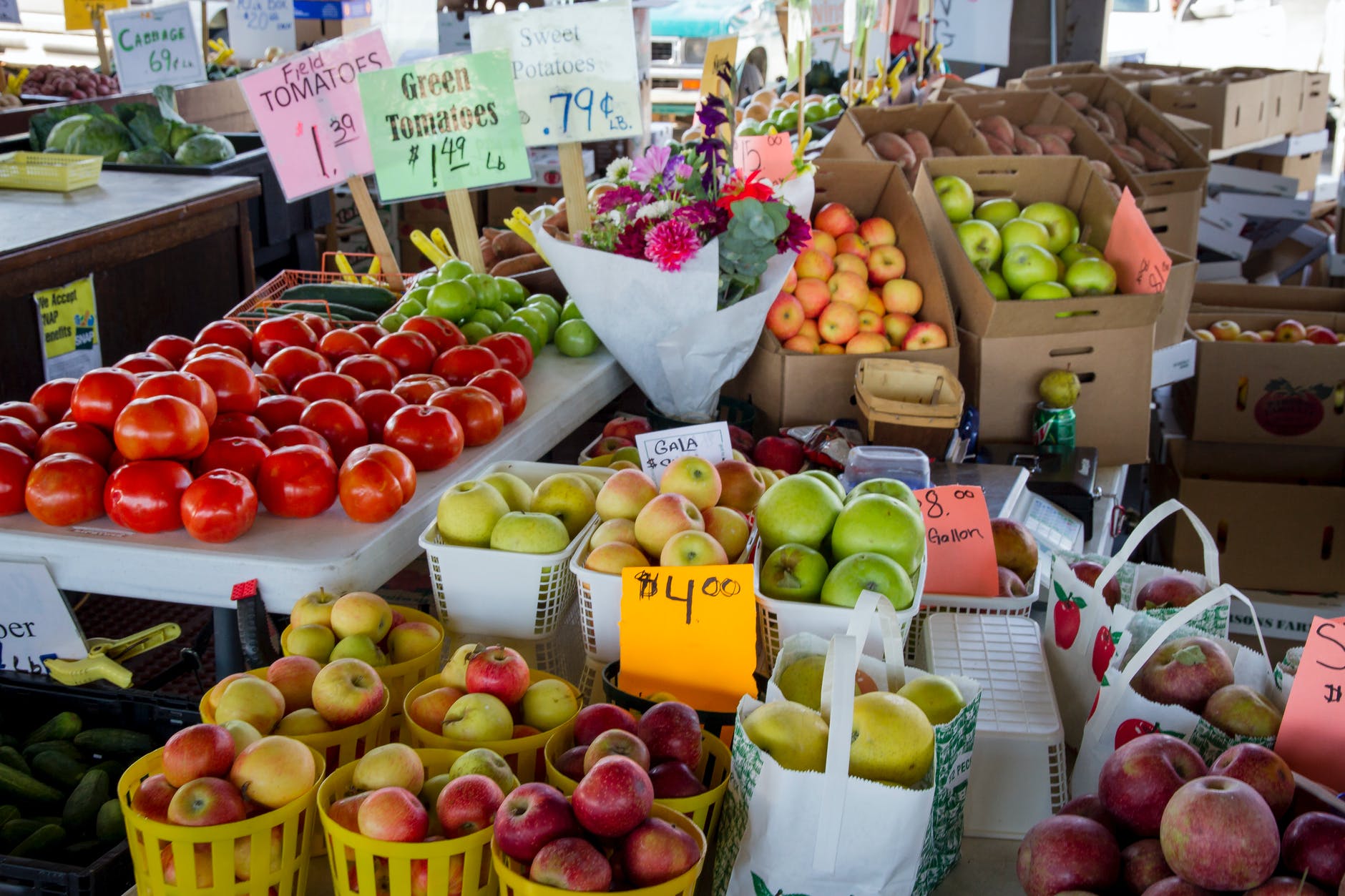 assorted variety of fruits